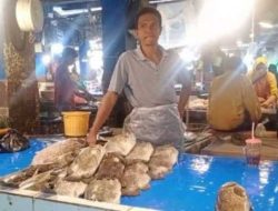 Pedagang Ikan yang Tabungan Rp3,5 M Raib di BNI Samarinda, Ini Curhatnya, Terisak Ingin Ketemu Erick Thohir