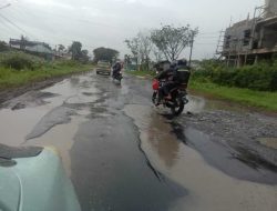 Jalan Trans Sulawesi di Masamba Berlubang Sepanjang 50 M, Rawan Lakalantas, Ini Penampakannya