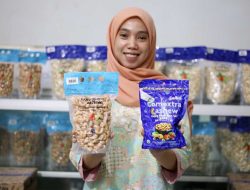 Comextra Majora Palopo Pasarkan Kacang Mete Kualitas Premium