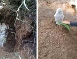 Heboh! Makam Longsor, Jasad Utuh Ditemukan Setelah 20 Tahun Dikubur