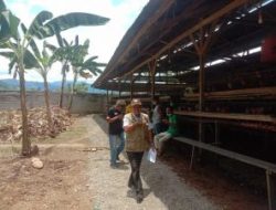 Kandang Ternak Ayam Petelur Desa Harapan di Somasi Warga, Ancam Ditutup