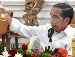 Jokowi Perintahkan Larangan Ekspor CPO