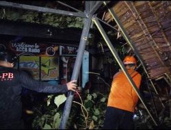 TRC BPBD Palopo Tanggap Evakuasi Ranting Pohon Tumbang