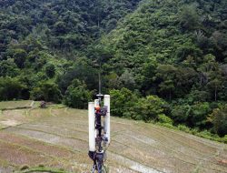Tower Telkomsel akan Dibangun di Rongkong