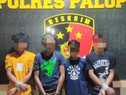 Empat Remaja Spesialis Curi Ayam Filipin Dibekuk Polisi, Jumlahnya 14 Ekor Bernilai Rp130 Juta