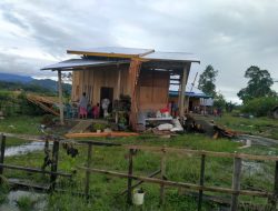Kerugian Ditaksir Rp400 Juta, Pemkab Luwu akan Alokasikan Anggaran Bangun Rumah Korban Puting Beliung