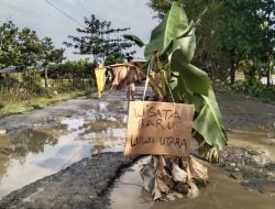 Bupati Indah: Ruas Jalan Kaluku-Subur Dikerja Tahun Ini