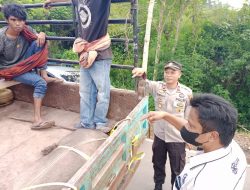 Cegah Meluasnya PMK, Polres Torut Bersama Satgas Lakukan di Perbatasan Kabupaten
