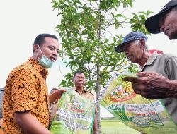 Musim Tanam April-September 2022, Bantuan Mandiri Benih oleh Gubernur Sulsel Telah Tersalur 1,2 juta kg benih untuk Lahan 48 ribu Ha