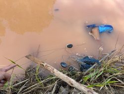 Ayah dan Anak Ditemukan Tewas Tersengat Kawat Kabel Listrik di Sawah Pakala Tana Toraja