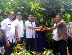 Legislator Nasdem, Abdul Salam Salurkan 1.700 Bibit Durian di Kelurahan Mawa