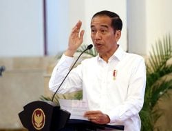 Satu Hari Usai Peringati HUT Kemerdekaan RI, Harga Tiket Pesawat Melambung Tinggi, Jokowi Langsung Bereaksi