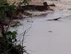 Aktivitas Tambang Galian C di Sungai Jaya, Latim Rusak Perkebunan