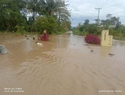 Banjir Hantam 5 Desa di Lamasi Timur, 150 Ha Sawah Gagal Panen