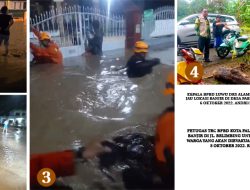 Palopo-Bua Belum Aman dari Banjir, Ratusan Rumah Terendam, Sawah Banyak Gagal Panen