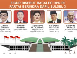Target Dua Kursi di Senayan, Gerindra Gaet Mantan Kada Dari Dapil Sulsel 3
