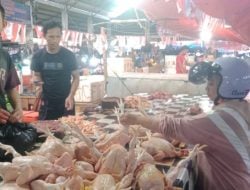 Ayam Potong, Cabe Rawit, dan Telur Turun Harga Stok Melimpah
