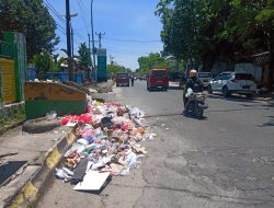 Sampah Berserakan di Jalan Protokol Kota Palopo, Iihh Joroknya..!
