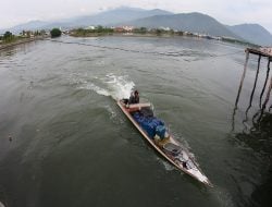 Pertamina Distribusikan Elpiji Subsidi hingga Pelosok, Sudah Menjangkau 61 Ribu Desa di Nusantara