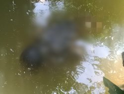 Breaking News: Penemuan Mayat Lelaki di Sungai Samping Empang Gegerkan Warga Rampoang