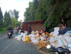 Truk Pembawa Jagung Terbalik di Sampoddo, Jalan Trans Sulawesi Macet Total Sudah 7 Jam
