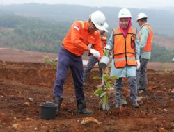 Melalui Penanaman Pohon, PT Vale Wujudkan Komitmen Peduli Pada Lingkungan