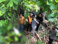 Bocah Malang di Tana Toraja Ditemukan Tewas Tergantung di Pohon Coklat