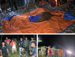 Jenazah Diduga Personel Kodim 1414/Tator Serda Amiruddin Ditemukan Mengambang di Sungai Ratte Denpina Torut, TNI-Polri dan Warga Berhasil Evakuasi