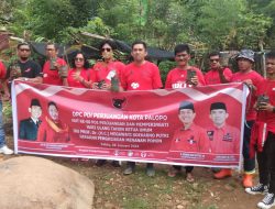 DPC PDI Perjuangan Kota Palopo Lakukan Penghijauan, Tanam Pohon di Murante