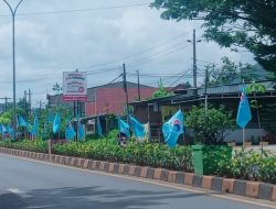 Sambut Anis Matta di Palopo, Sejumlah Ruas Jalan Dipenuhi Atribui Gelora