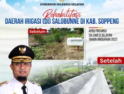 Rehab Irigasi Salobunne Rampung, Gubernur Andi Sudirman Harap Tingkatkan Hasil Pertanian
