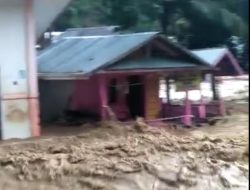 Hulu Sungai Rusak akibat Pembukaan Lahan dan Tambang Ilegal