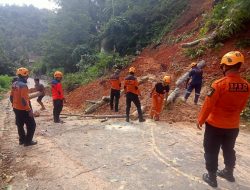 Latuppa Longsor dan Pohon Tumbang, BPBD Cepat Tanggap Lakukan Evakuasi