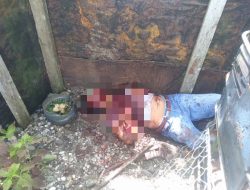 Dua Orang Toraja Dilaporkan Dibunuh di Papua