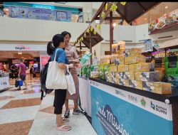 Go Global BNI, Bisnis Coklat Asal Bali Mendunia