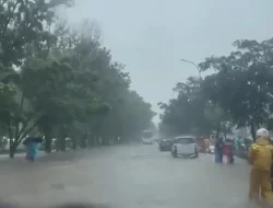 Hari Ini dan Besok, Tana Luwu Diguyur Hujan Ringan, Cerah Berawan Dominasi Kondisi Cuaca Kota-Kota Besar di Indonesia
