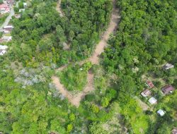 Kavling di Hutan Kayu Lara Ternyata Dibagi-bagi Oknum Pejabat, Mulai BPN, Bapenda, hingga Pertanahan
