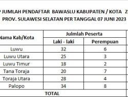 Pendaftar Bawaslu di Tana Luwu dan Toraja 187 Orang, Terbanyak Palopo