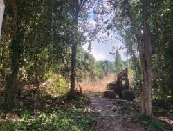 Hutan Kayu Lara Diserobot,  103 Lahan Punya SPPT-PBB, Bupati Basmin Marah