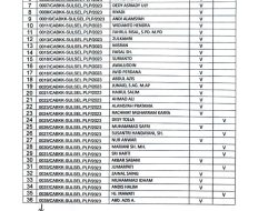 39 Pendaftar Bawaslu Palopo Lulus Berkas,  26 Juni Tes Tertulis di BKN Makassar