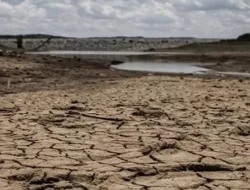 El Nino Mengancam, BMKG Sebut Pesisir Barat Sulsel Terdampak, Berikut Daerahnya