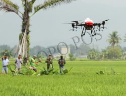 Pertama di Luwu Raya, Penyemprotan Hama Menggunakan Drone di Paccerakang Luwu