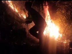 Dua Hektare Lahan di Rano Terbakar Diduga Ini Penyebabnya