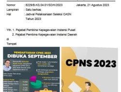 Penerimaan CPNS dan PPPK Resmi Dirilis BKN, Ini Jadwal Lengkap dan Formasinya