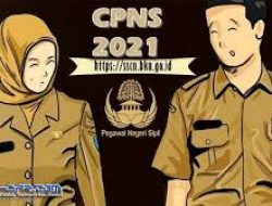 Delapan Formasi CPNS Terima Tamatan SMA, Pendaftaran Dibuka 17 September