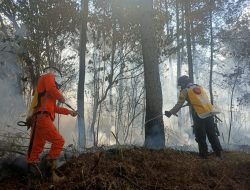 Lahan Lima Hektar Milik Petani Cengkeh Terbakar di Kurra Tana Toraja