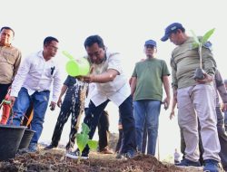 Budidaya Pisang di Lahan 1 Juta Hektare, Pj Gubernur Sulsel Undang Swasta Berinvestasi
