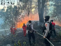 Musim Kemarau, Dua Kawasan Hutan Lindung di Tana Toraja Terbakar