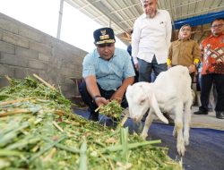 Di Sela HUT Ke-354 Sulsel, Pj Gubernur Bahtiar Kunjungi Peternakan Ayam dan Kambing di Gowa