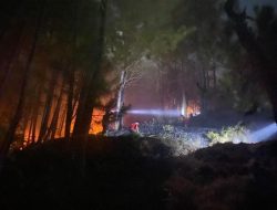 Karhutla di Sangalla Tana Toraja, Dua Hektar Pepohonan Mati Terbakar